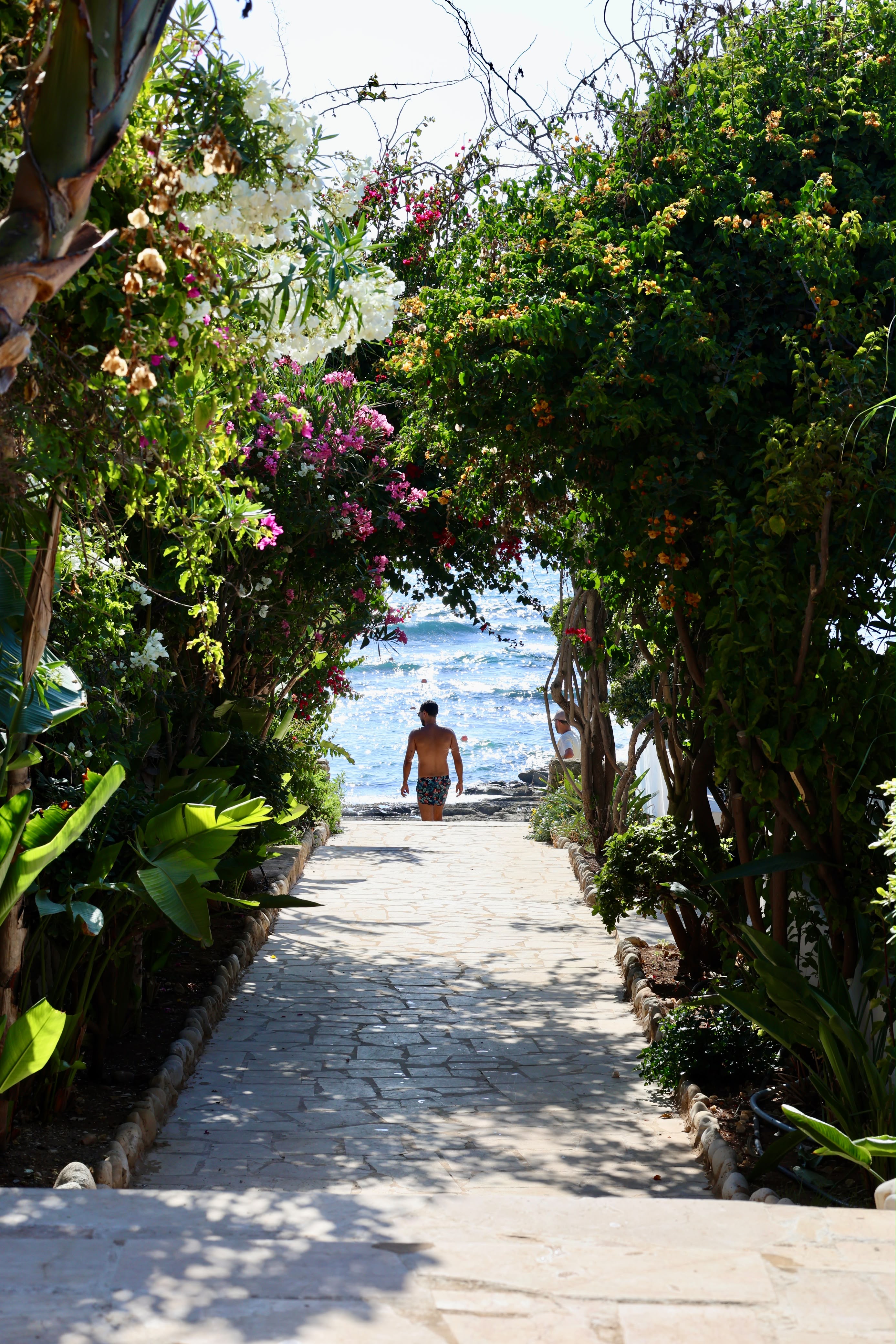 Lush garden pathway with bougainvillea arch leading to the sea